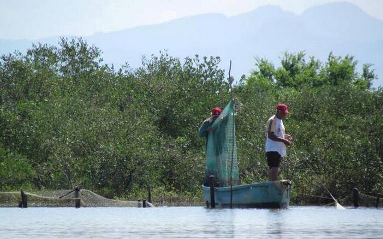 Cuelgan atarrayas pescadores de Escuinapa - El Sol de Sinaloa